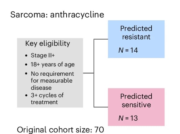 Open access visualization of Flowchart, Cox Proportional-Hazards Regression Models, TTF, Primary Sarcoma, Anthracycline