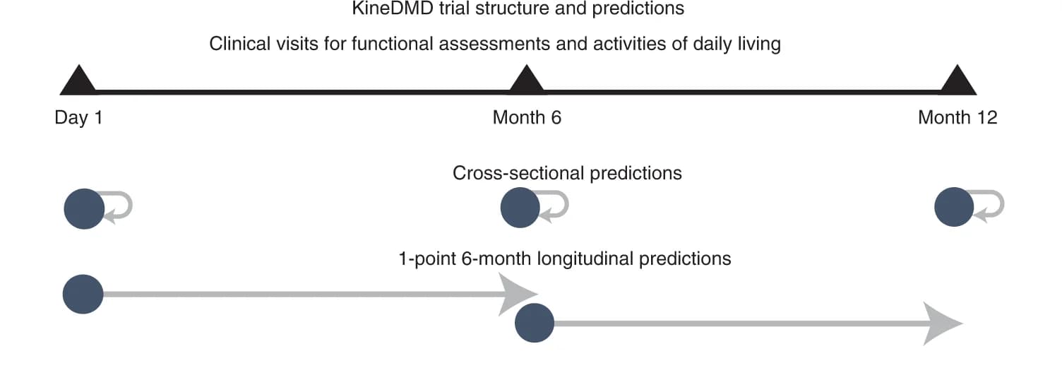 Open access visualization of Workflow, Illustration, Clinical Trial, Predictions, KineDMD
