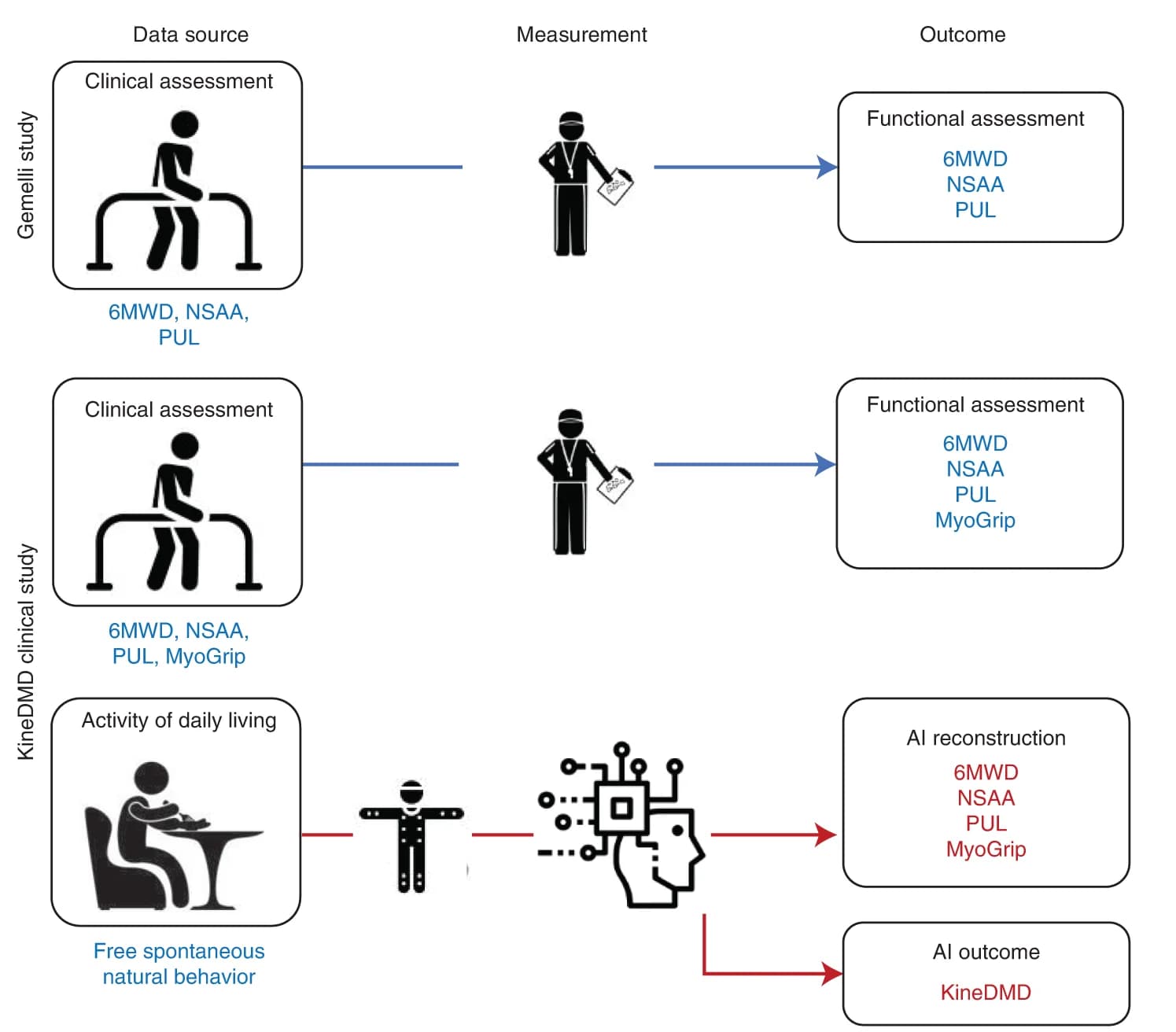 Open access visualization of Workflow, Flowchart, Gemelli Study, KineDMD Study, Data Source