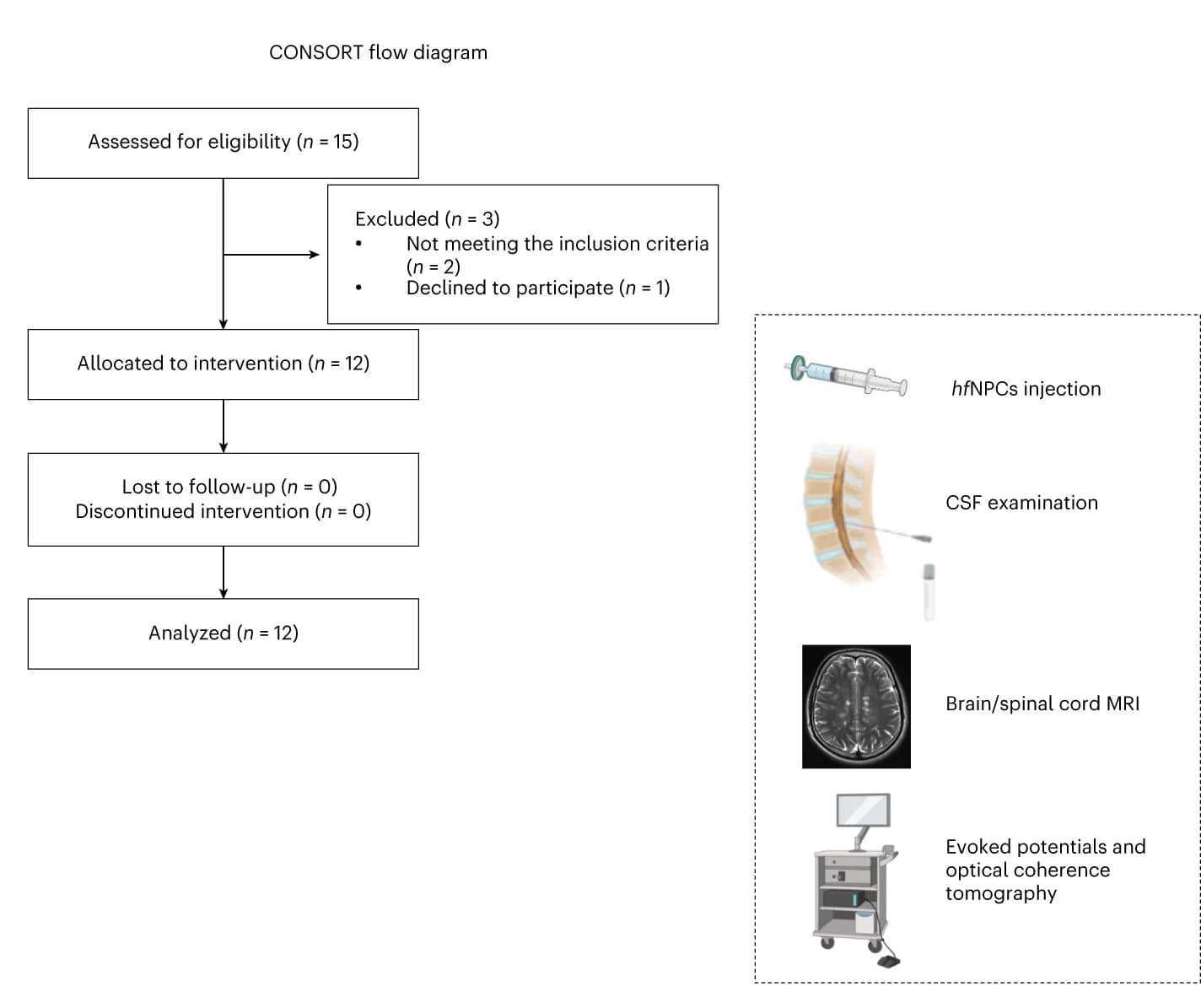 Open access visualization of Flowchart, Illustration, CONSORT flow diagram