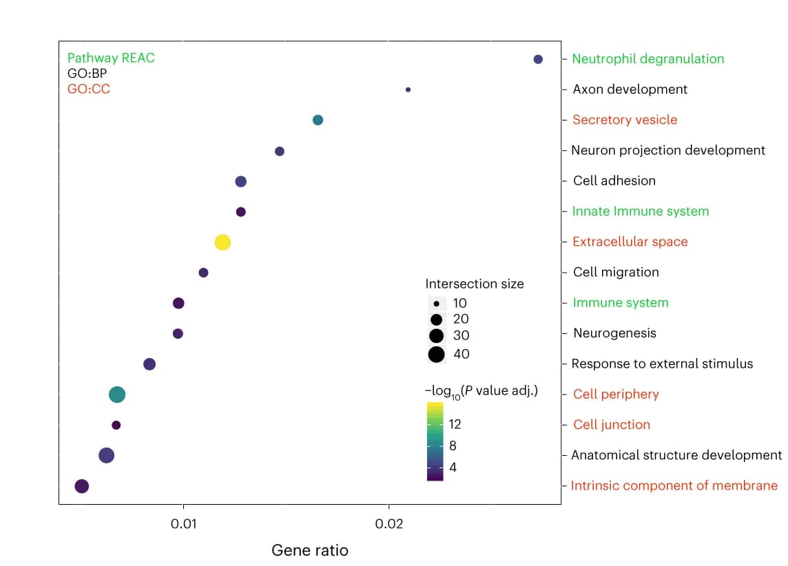 Open access visualization of Bubble Plot, Volcano Plot, Pathway Enrichment Analysis, Cerebrospinal Fluid, Differentially Expressed Proteins