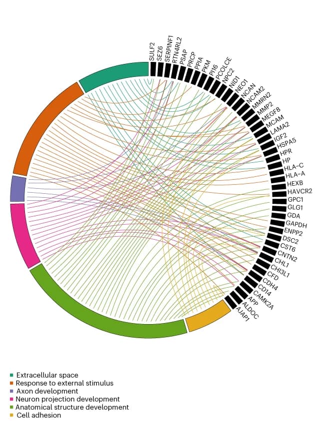 Open access visualization of Chord, Chord Plots, Enriched Pathways, Low-Dose Group