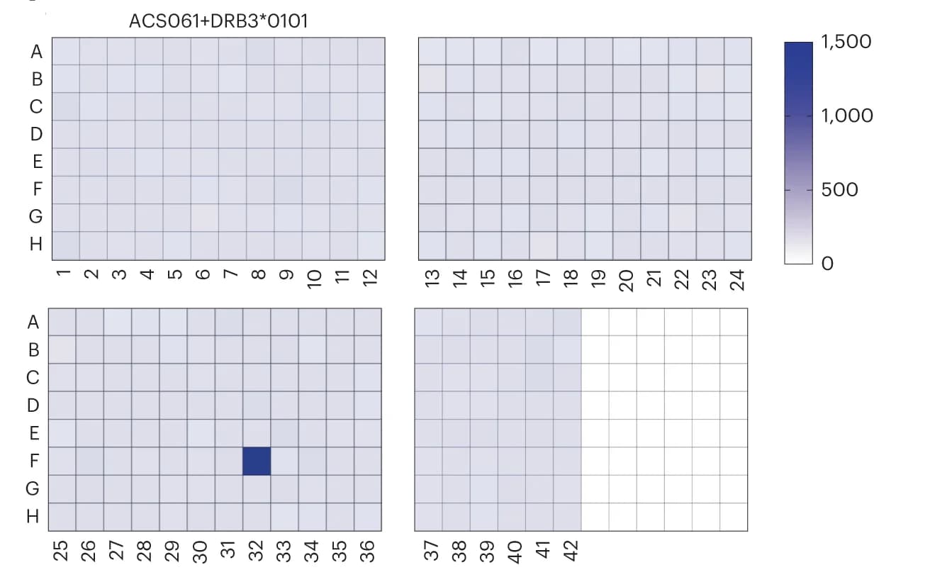 Open access visualization of Heatmap, Antigen Recognition, M. tuberculosis, Proteome, TCR