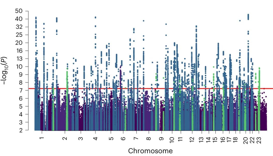 Open access visualization of Manhattan Plot, GWAS, Hypertension, Blood pressure-related traits