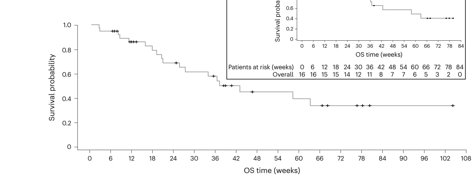 Open access visualization of Survival Curve, Line Plot, Kaplan-Meier Curves, Overall Survival, mITT Population
