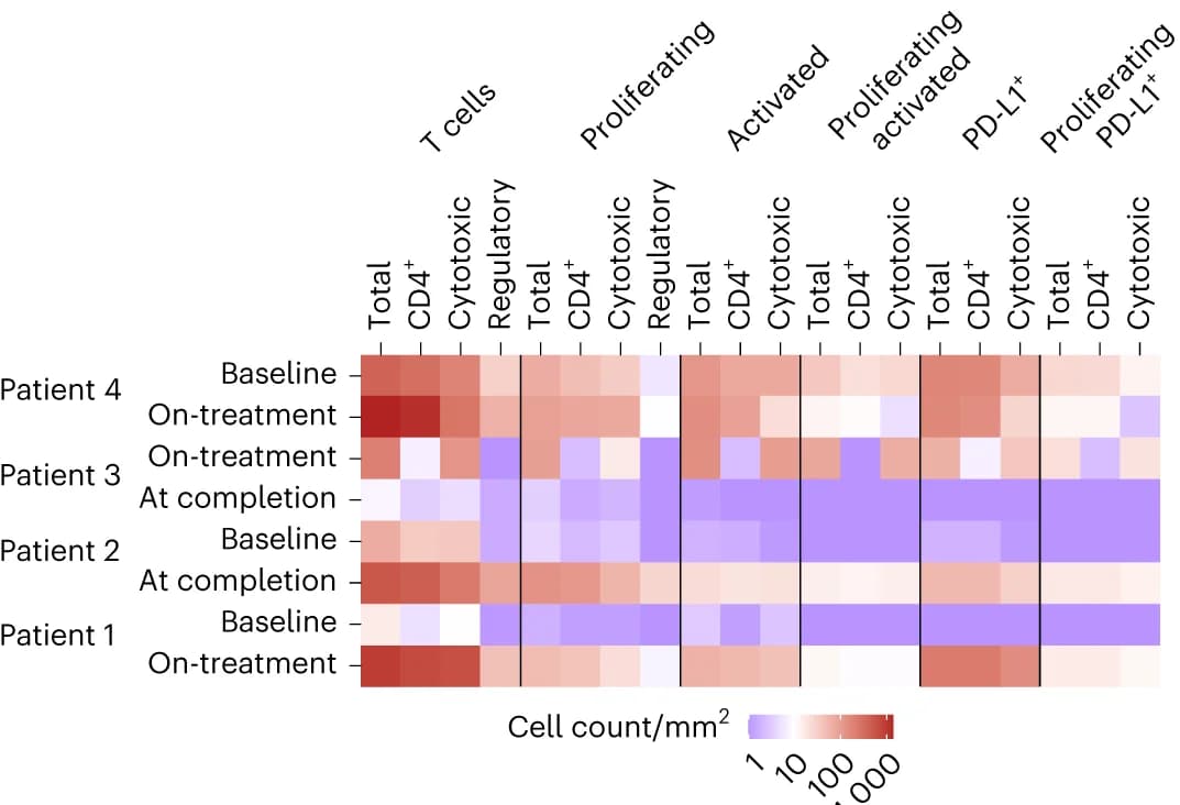 Open access visualization of Heatmap, T Cell Markers, CD3, CD4, CD8