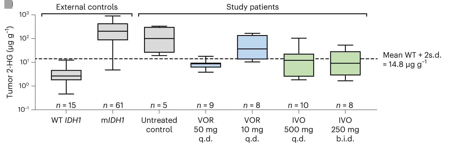 Open access visualization of Box Plot, 2-HG concentrations, Tumor Samples, Dose Cohorts