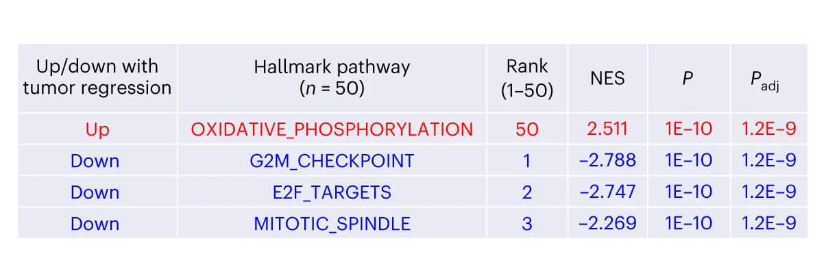 Open access visualization of Table Image, Molecular Pathways, Tumor Regression, Tumor Growth, P Values