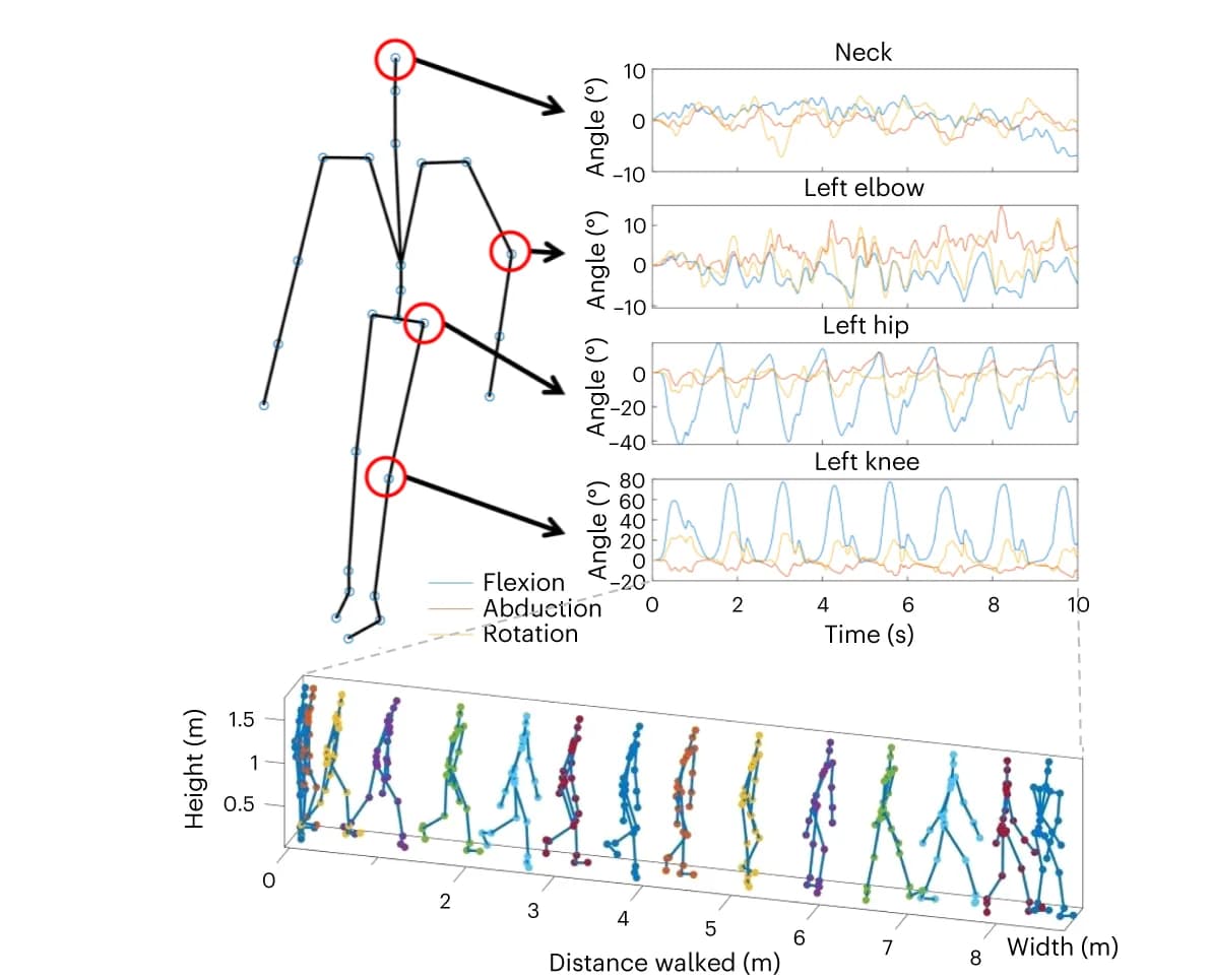Open access visualization of Line Plot, 3D Plot, Body Posture, 8MW, Motion Capture