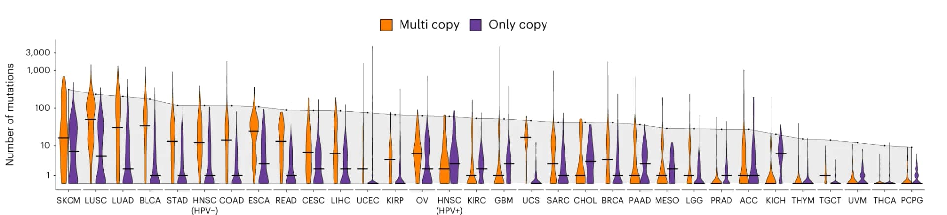 Open access visualization of Violin Plot, Line Plot, Multi-copy, Only-copy, Somatic Mutations