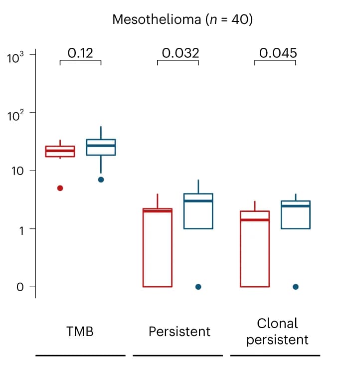 Open access visualization of Box Plot, Mesotheliomas, pTMB, TMB, Chemo-immunotherapy
