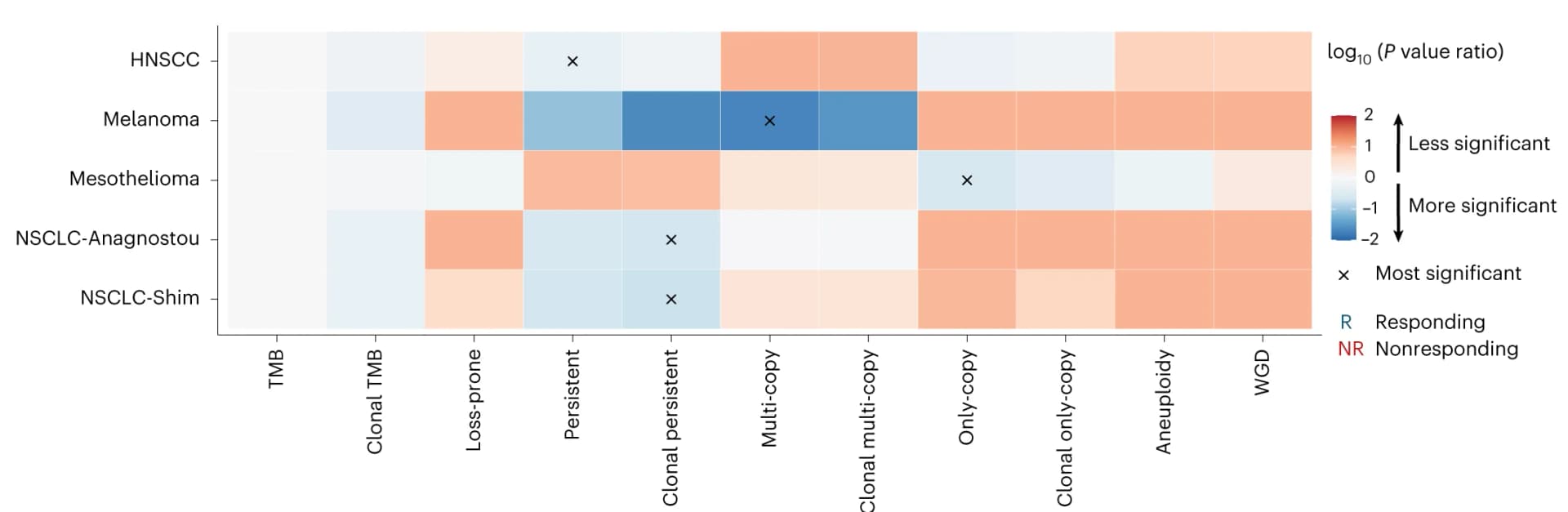 Open access visualization of Heatmap, Mutations, Copy Number, TMB, ICB
