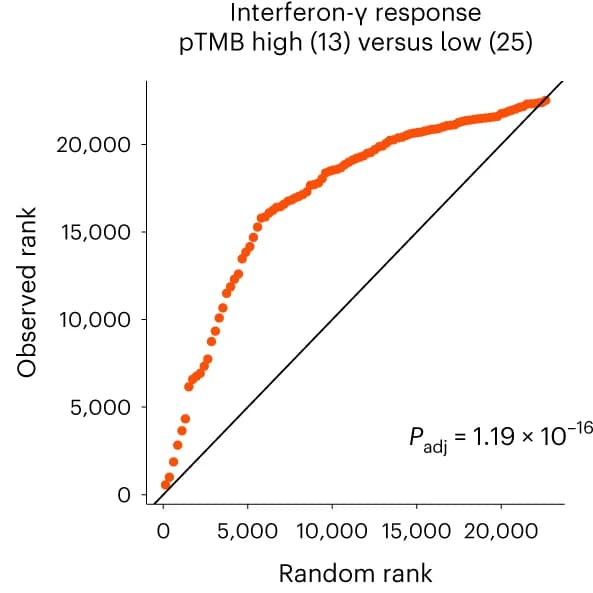 Open access visualization of Scatter Plot, QQ Plot, IFN-gamma, Gene Expression Programs, Tumor Microenvironment