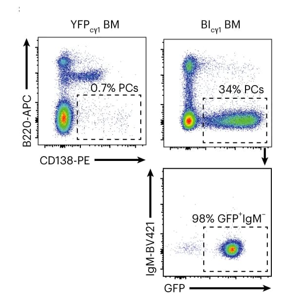Open access visualization of Scatter Plot, Flow Cytometry, Bone Marrow, MM Cells