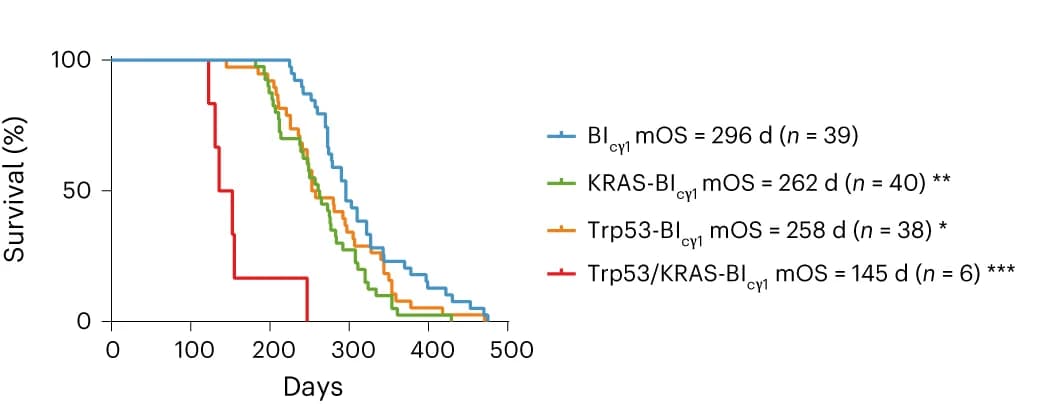 Open access visualization of Survival Curve, Line Step, KaplanMeier Survival Curves, Mouse Lines, MM