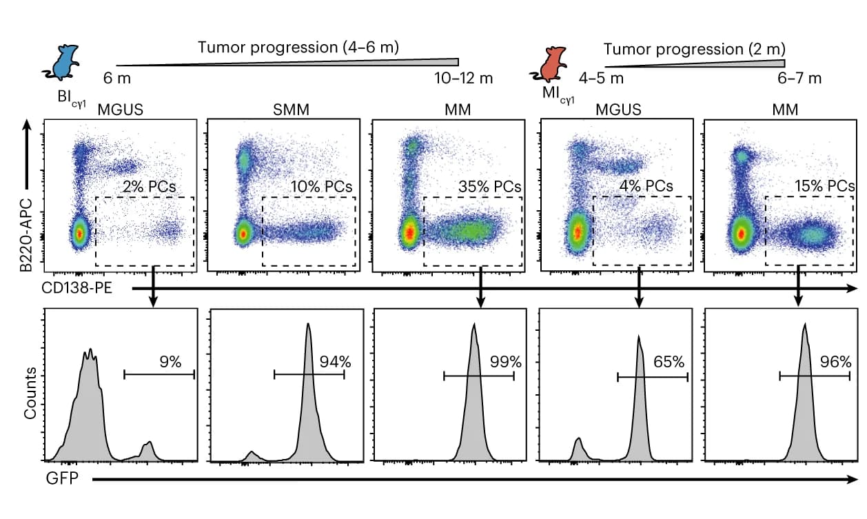 Open access visualization of Scatter Plot, Line Plot, Density Plot, Flow Cytometry, Mice