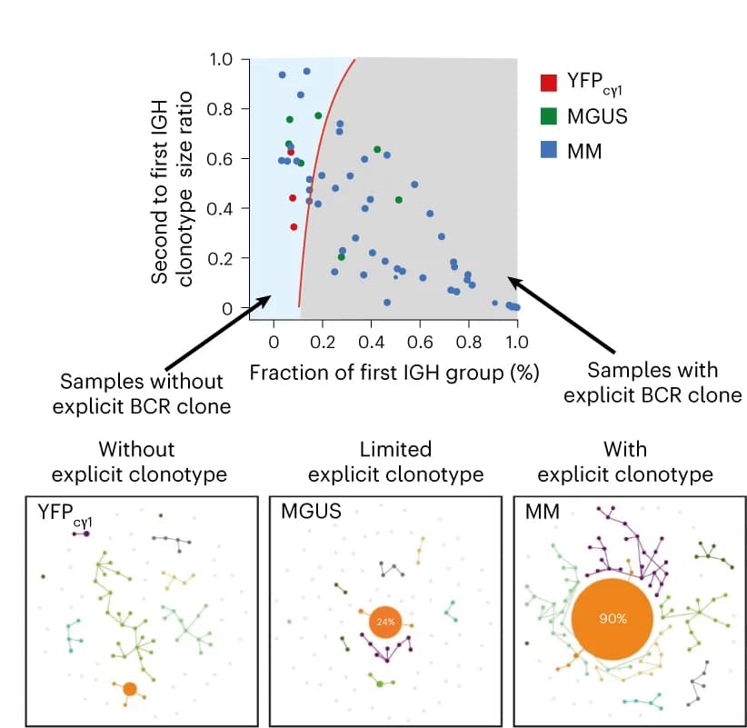 Open access visualization of Scatter Plot, Network, Igh Clonality, RNA-seq, Immunoglobulin