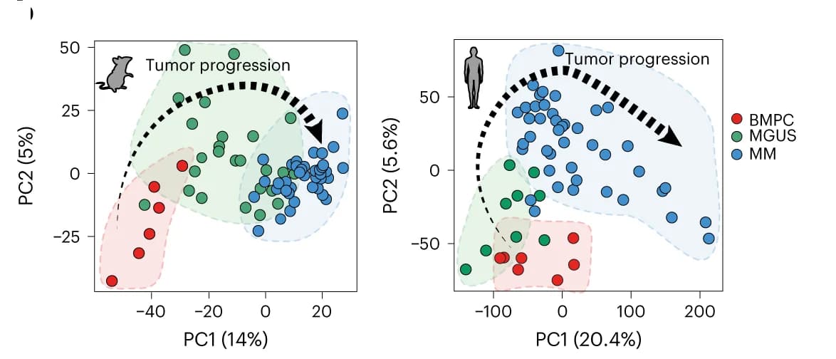 Open access visualization of Scatter Plot, PCA, RNA-seq, Mouse, Human