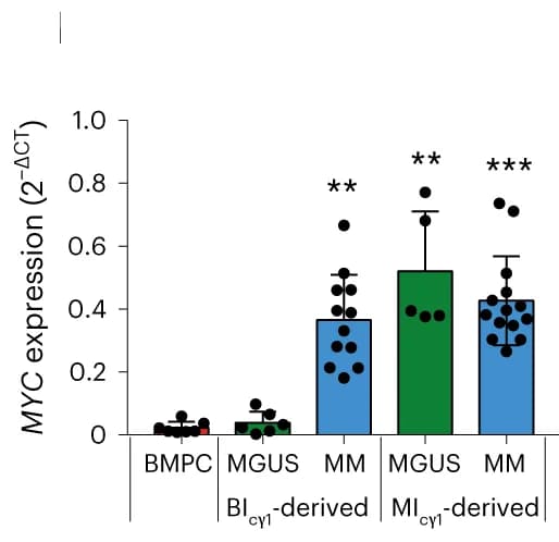 Open access visualization of Bar Plot, Error Bars, qPCR, Reverse Transcription, Mouse