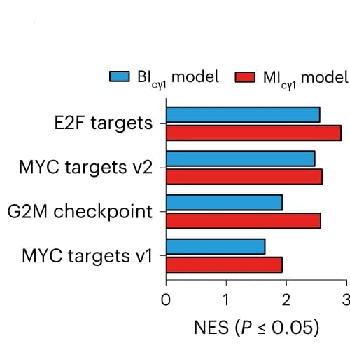 Open access visualization of Bar Plot, Clustered, GSEA, RNA-seq, MYC