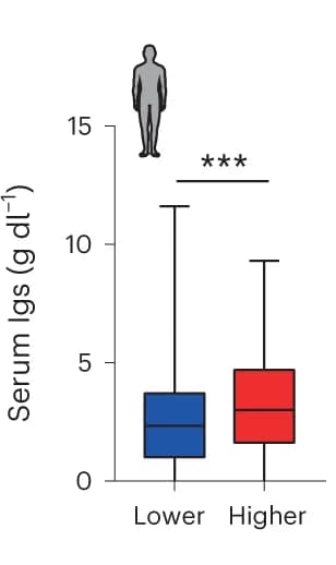 Open access visualization of Box Plot, MM Cases, Immune Cells, Immunoglobulin Secretion, Median