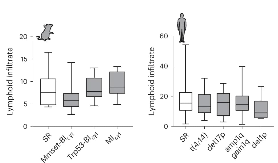 Open access visualization of Box Plot, Bone Marrow, Lymphoid Infiltrates, CD4 + Cells, CD8 + Cells