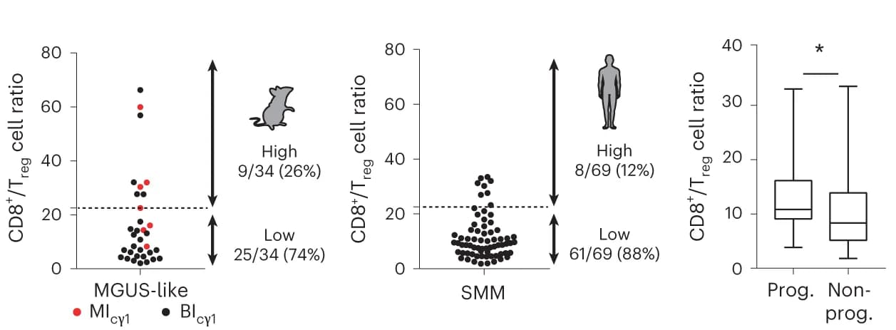 Open access visualization of Scatter Plot, Box Plot, CD8+ T Cells, T Reg Cells, Bone Marrow