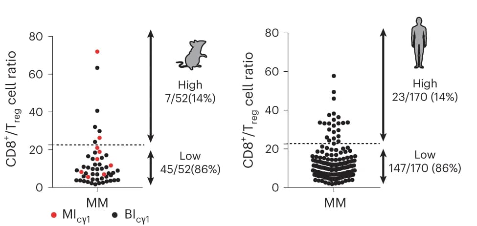 Open access visualization of Scatter Plot, CD8+ T Cells, T Reg Cells, Multiple Myeloma, Patient Sample