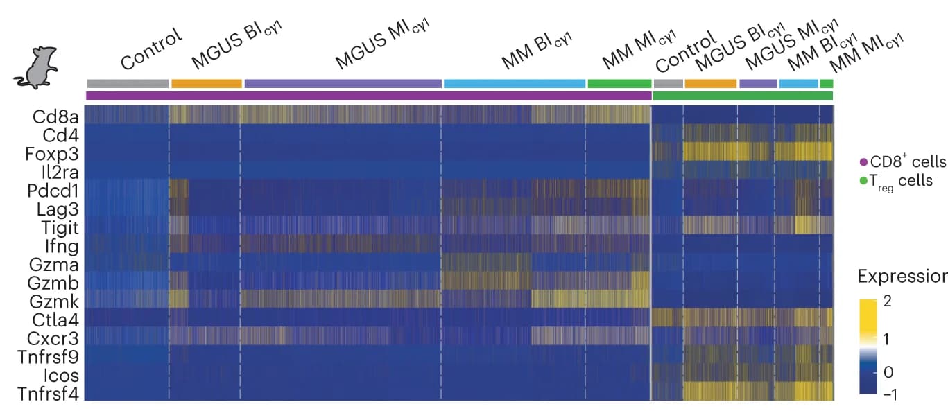 Open access visualization of Heatmap, Gene Expression, CD8+ T Cells, CD4+ CD25+ Foxp3+ T Reg Cells, MM Progression