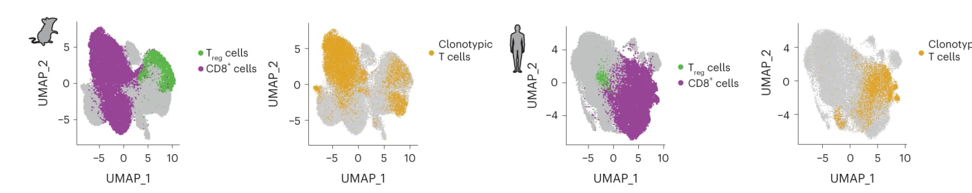Open access visualization of UMAP, Scatter Plot, Single-Cell Transcriptomics, TCR Genomics, CD8+ T Cells