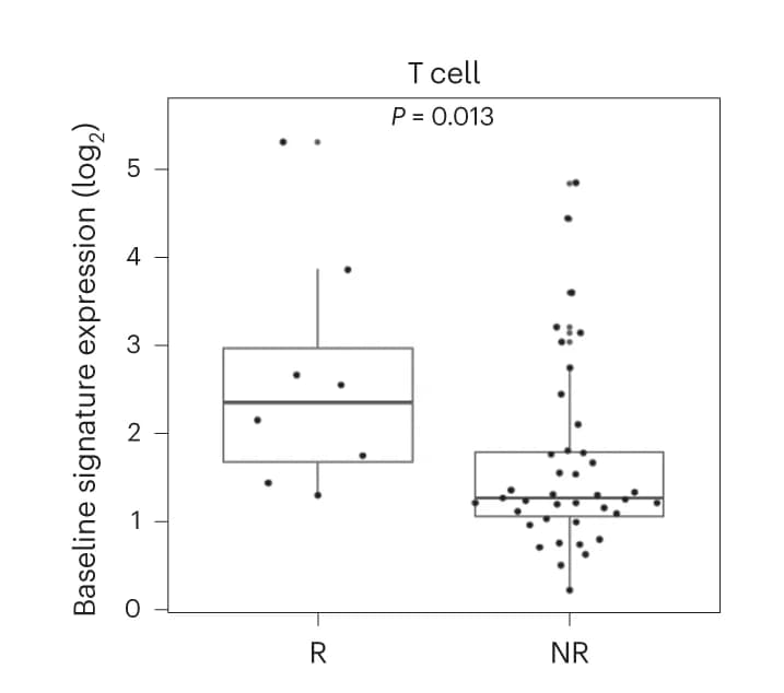 Open access visualization of Box Plot, Scatter Plot, Tumor baseline, T Cell, Responders