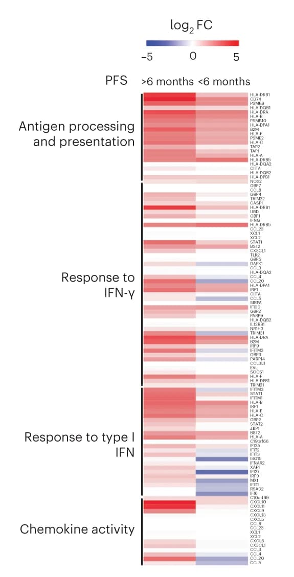 Open access visualization of Heatmap, log2 FC, Interferon Stimulated Genes, Immune Pathways, Tumor Epithelial Cells