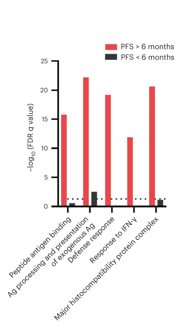 Open access visualization of Bar Plot, Clustered, Gene Ontology, Tumor Epithelial Cells, False Discovery Rate