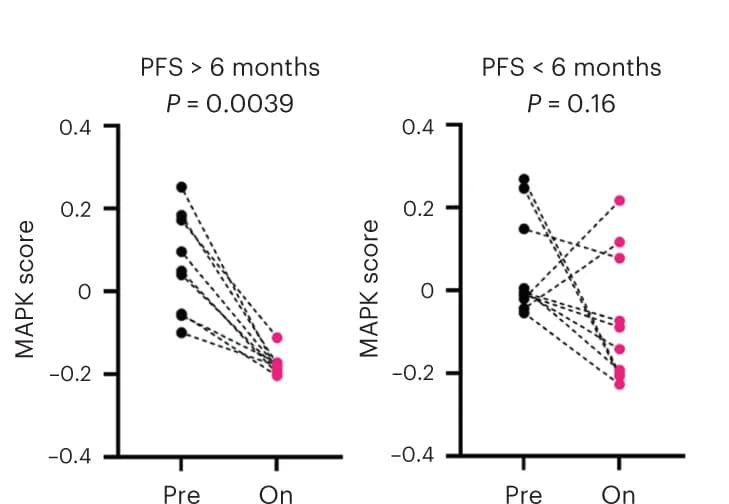 Open access visualization of Scatter Plot, Line Plot, MAPK score, Tumor Epithelial Cells, Wilcoxon Signed Rank Test