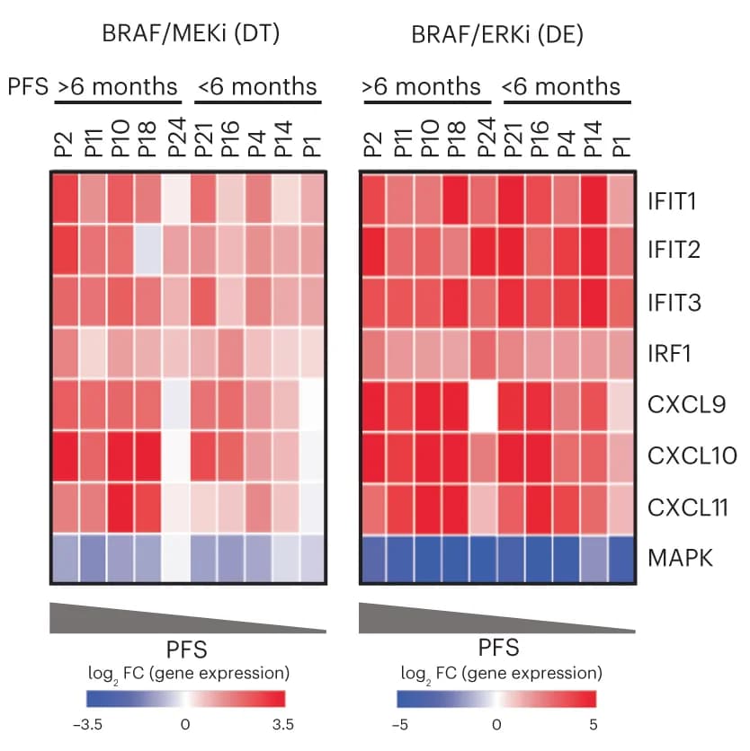 Open access visualization of Heatmap, Gene Expression, qPCR, ISGs, MAPK