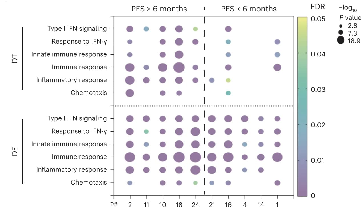 Open access visualization of Bubble Plot, GO Term Enrichment Analysis, DEGs, Organoids, DT