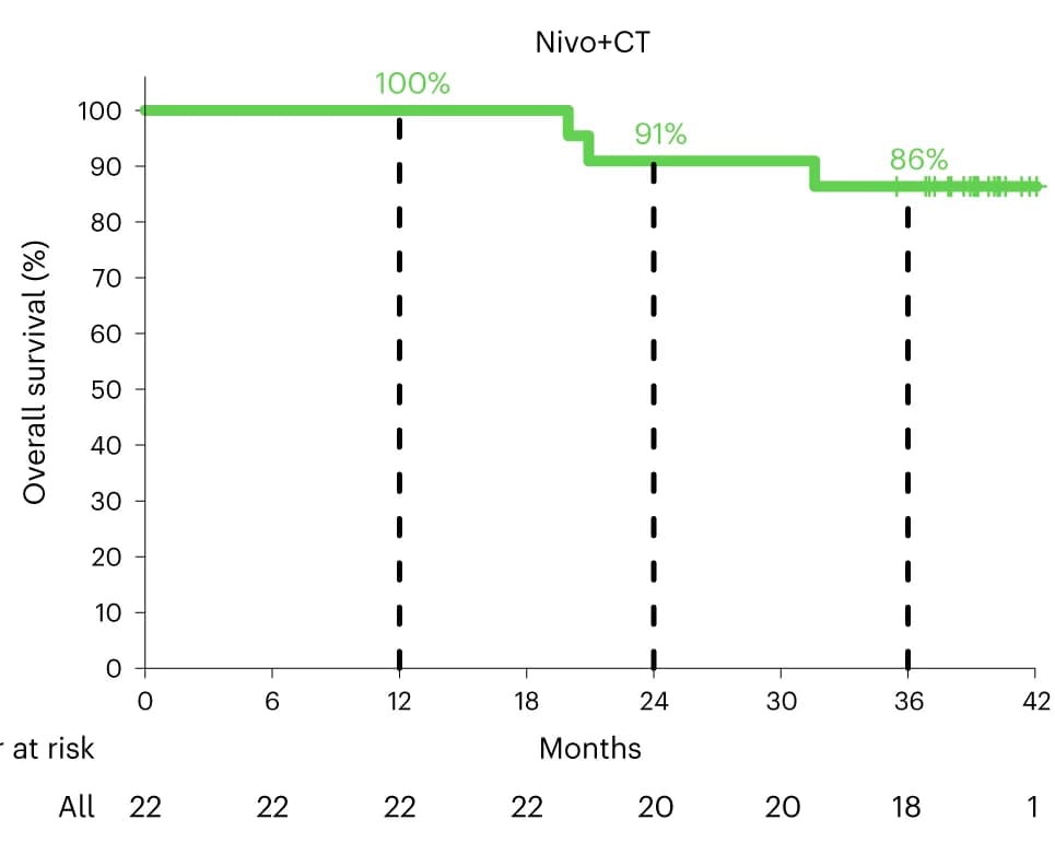 Open access visualization of Survival Curve, Kaplan-Meier Curve, OS, Nivo+CT, Neoadjuvant Treatment