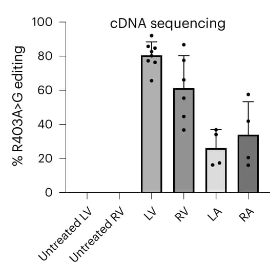 Open access visualization of Bar Plot, Error Bars, Editing Efficiency, R403Q Allele, AAV9 ABE8e Injection