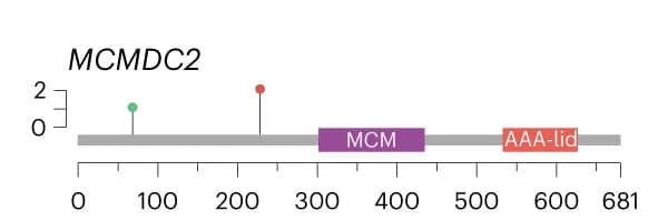 Open access visualization of Illustration, LoF variants, Functional domains, MCMDC2