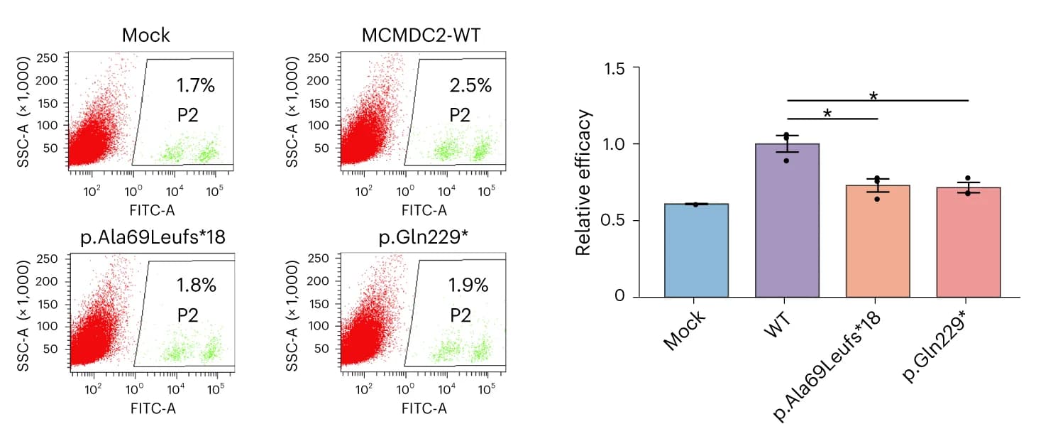 Open access visualization of Bar Plot, Error Bars, Scatter Plot, Flow cytometry, DNA repair