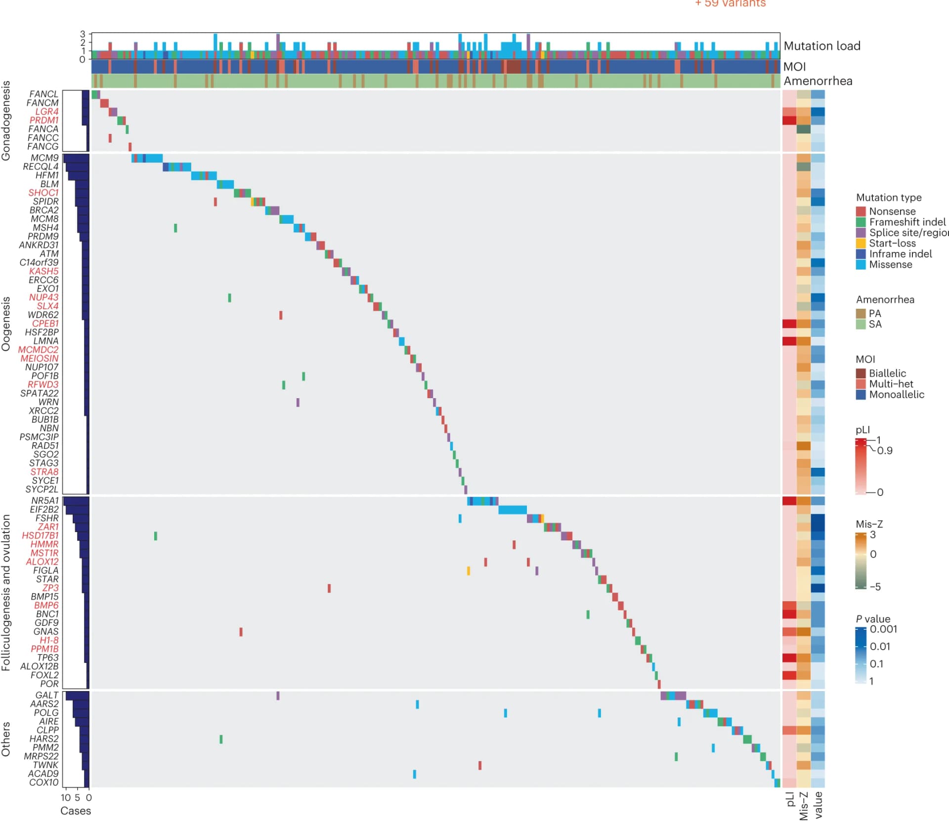 Open access visualization of Heatmap, Bar Plot, Integrated Matrix, P/LP Variants, POI