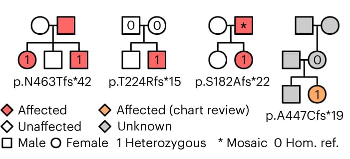 Open access visualization of Illustration, Pedigrees, Loss-of-function variants, ERG