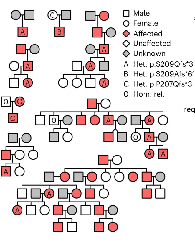 Open access visualization of Illustration, Workflow, Pedigrees, Frameshift insertion, Frameshift deletion