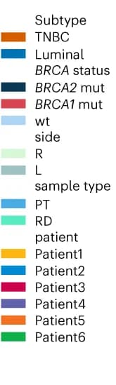 Open access visualization of Illustration, Somatic Driver Mutations, Next-Generation Sequencing