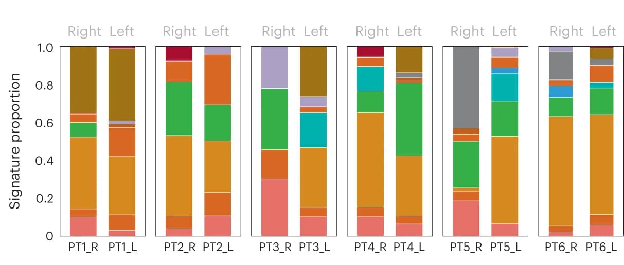 Open access visualization of Stacked Bar Plot, Mutational Signatures, Primary Tumor, Patient