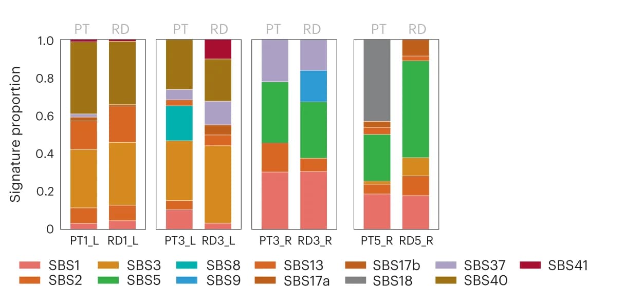 Open access visualization of Stacked Bar Plot, Primary Tumor, RD, NAC, CN-LOH