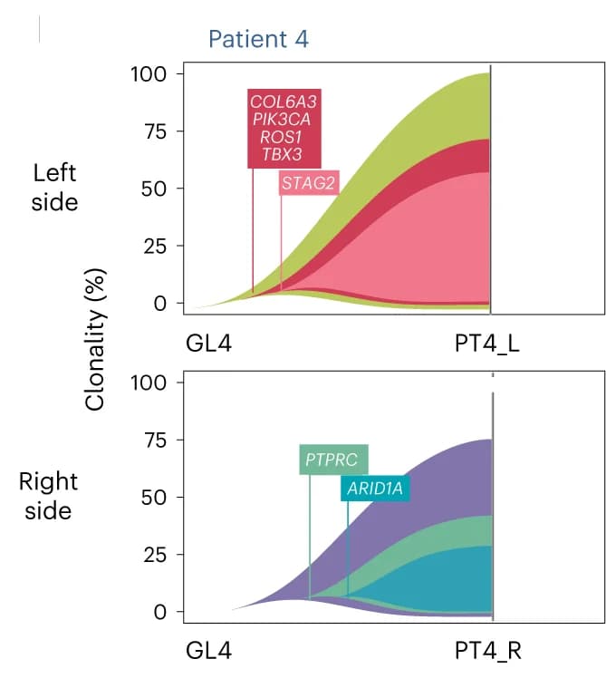 Open access visualization of Line Plot, Density Plot, Patient Data, Sample Exclusion, Low Purity