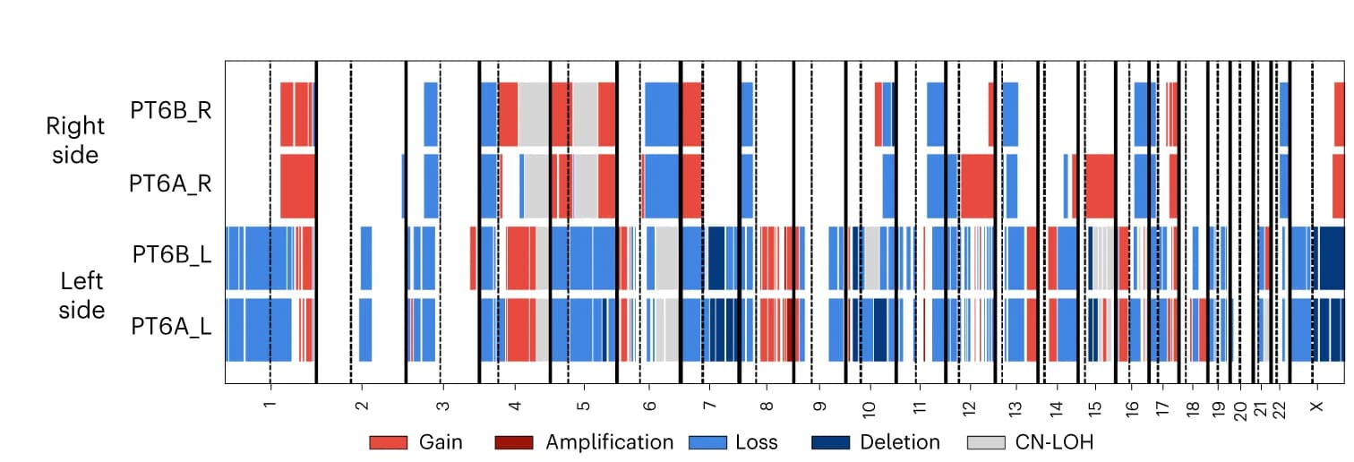 Open access visualization of Bar Plot, Clustered, CNA Profiles, Multicentric Tumors