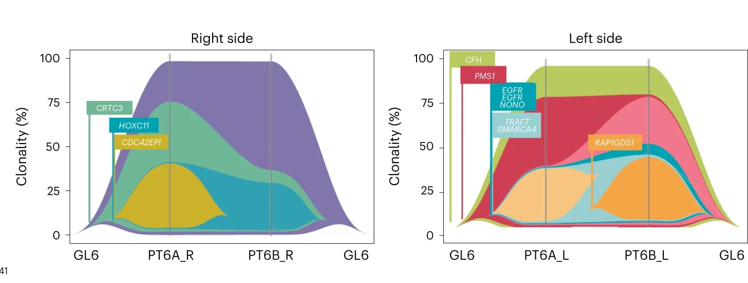 Open access visualization of Line Plot, Ridge Plot, Fish Plot, Phylogeny, Multicentric Tumors