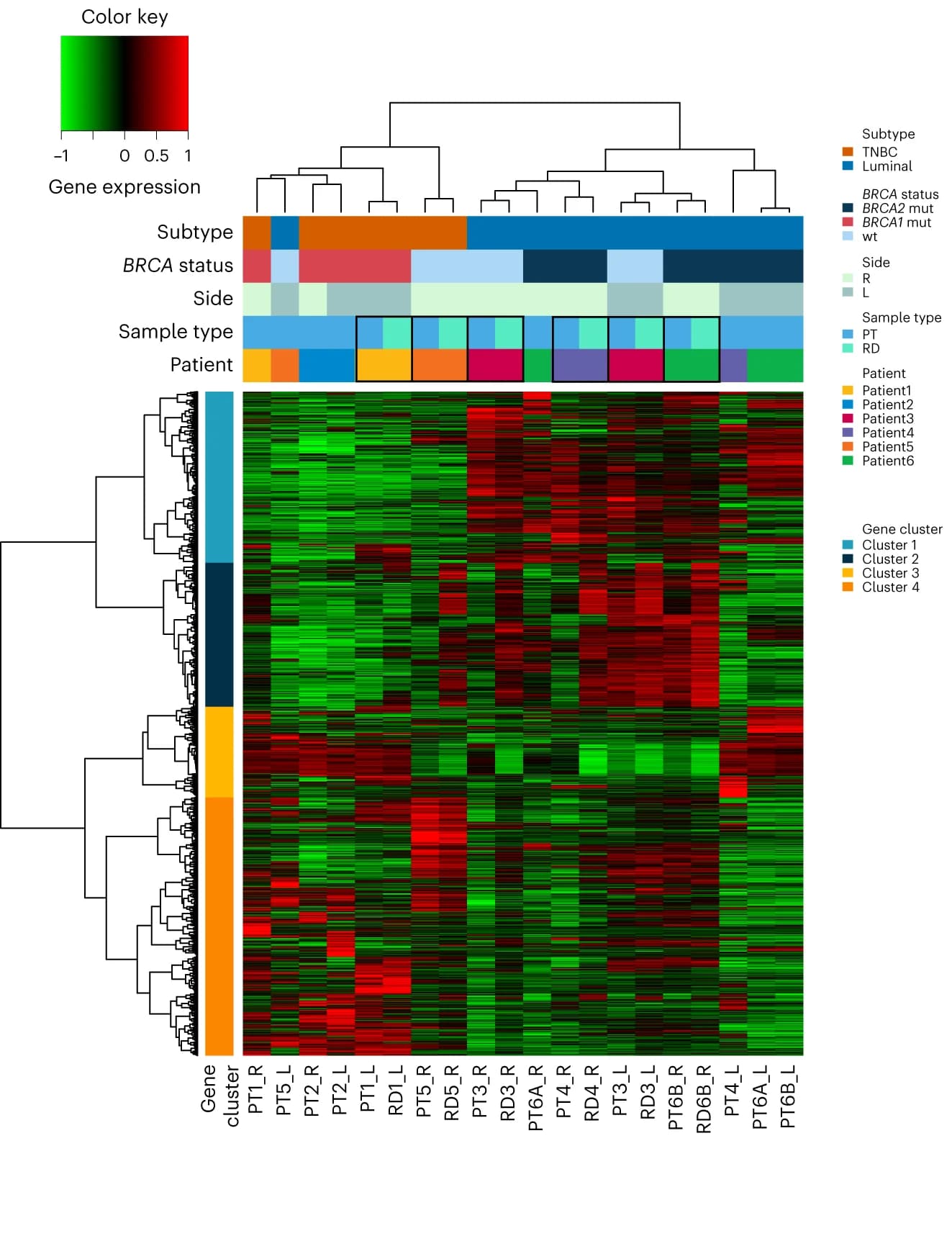 Open access visualization of Heatmap, Clustered, Gene Expression, RNA-seq, Tumor Samples